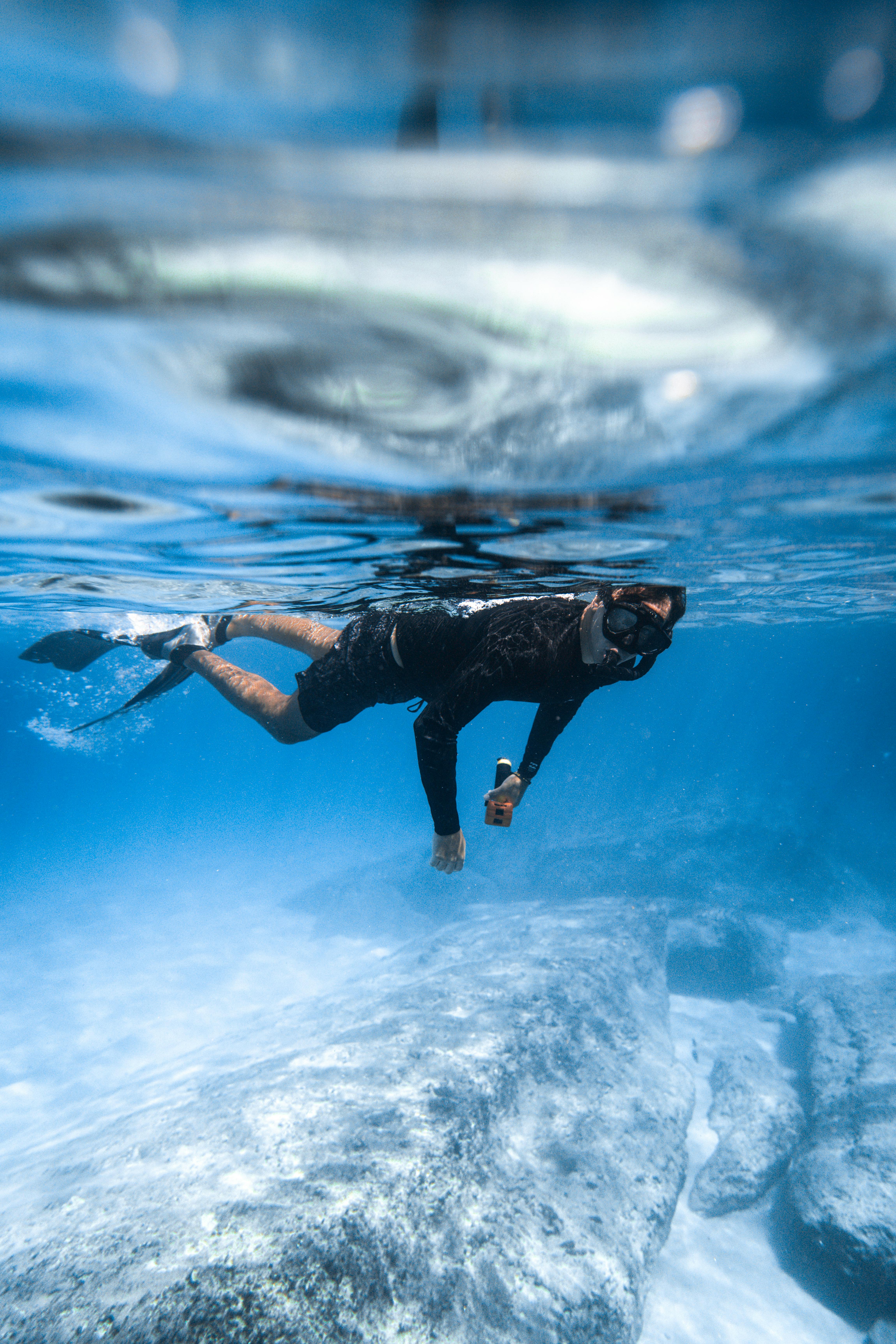 Kelp Forest Snorkelling