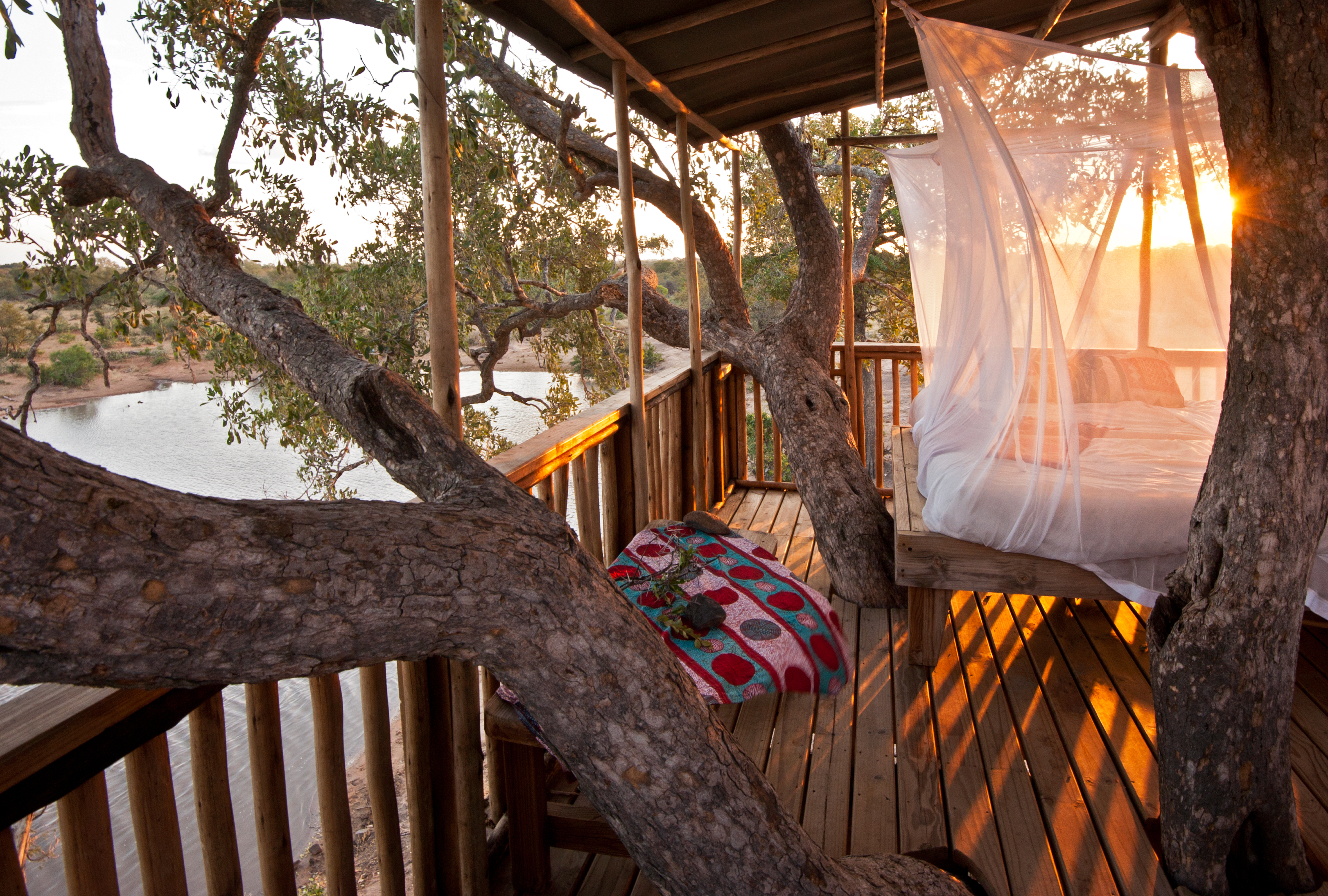 Safari & Southern Africa Extension